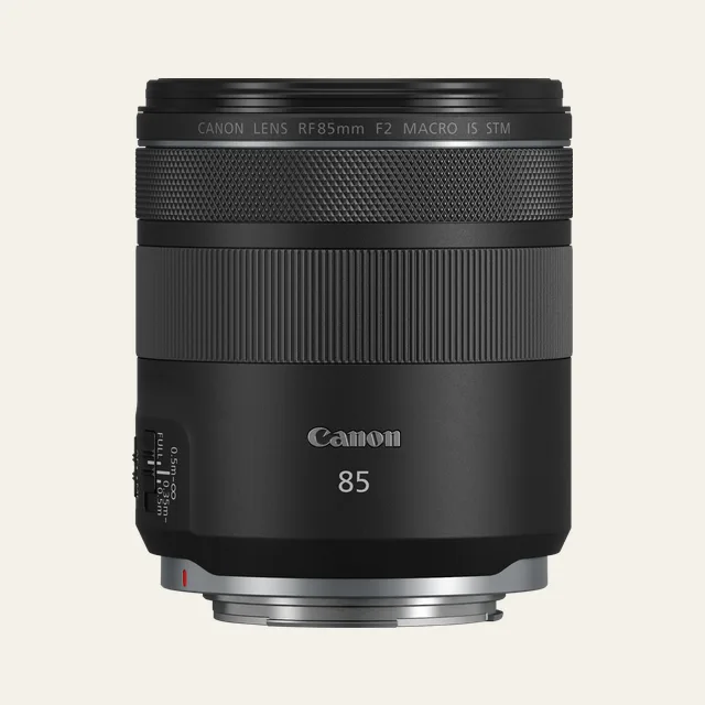Canon RF 85mm F2 Macro