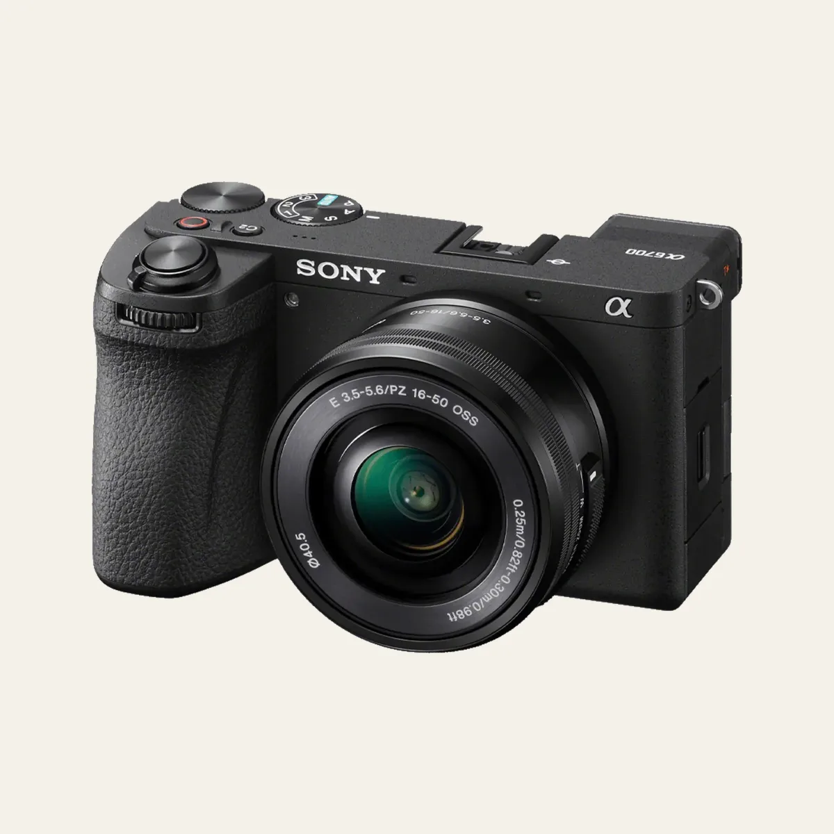 Sony A6700 compact wildlife camera