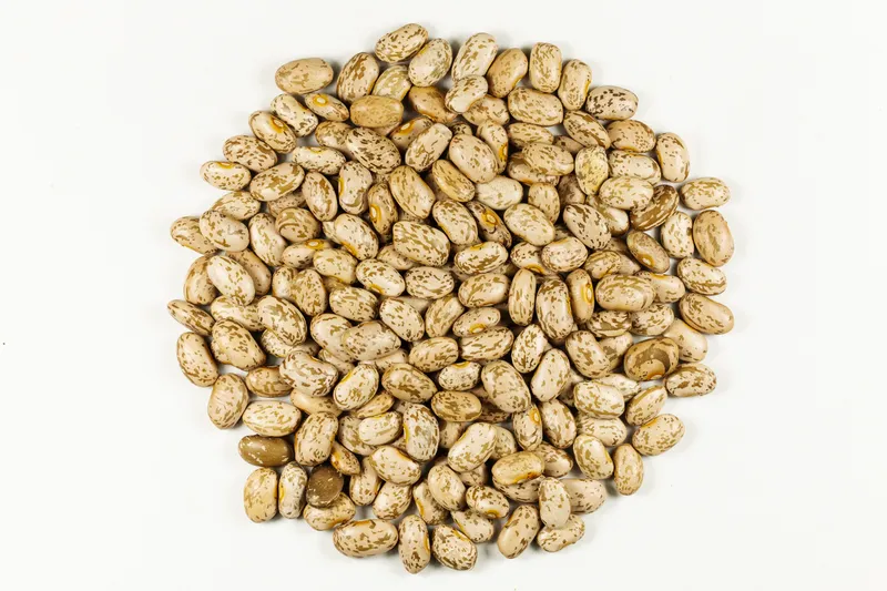 Pinto beans arranged in a circle on white