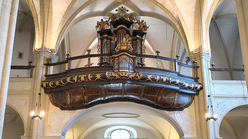 The ornate organ case in the Neukloster church, Wiener Neustadt