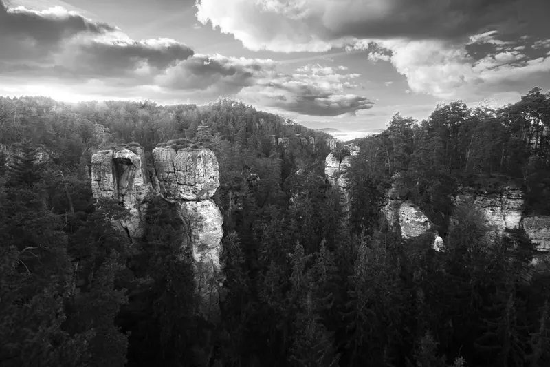 Black-and-white view of sandstone rock towers rising from the forest in Bohemian Paradise