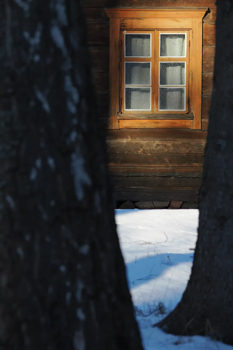 A lit cabin window seen between two tree trunks in snow