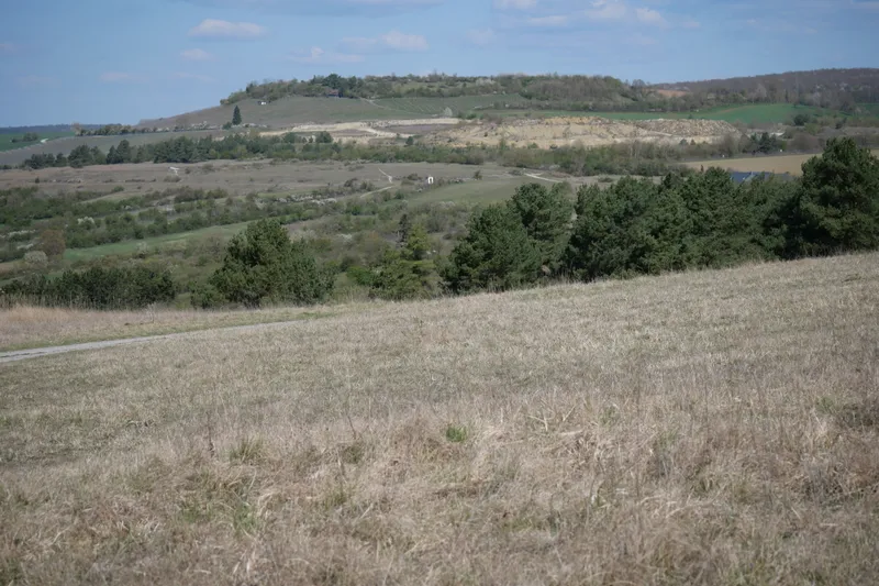 Dry grassland with a view across wooded hills to the Rehnützberg