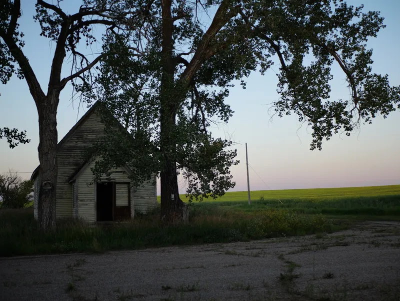 An old wooden building under a large tree at dusk in Bounty, Saskatchewan