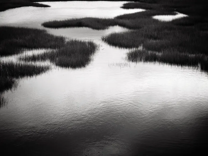 A black-and-white view of marsh grass and water at Baie Verte, New Brunswick