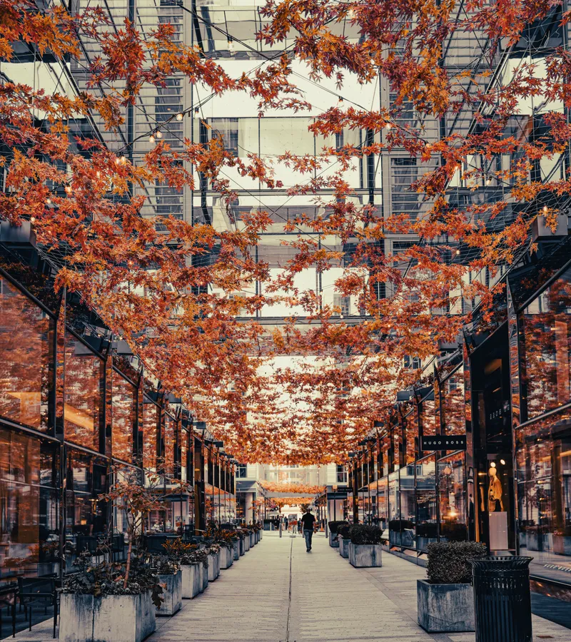 Autumn leaf decorations hanging over a pedestrian passage at CityCenterDC