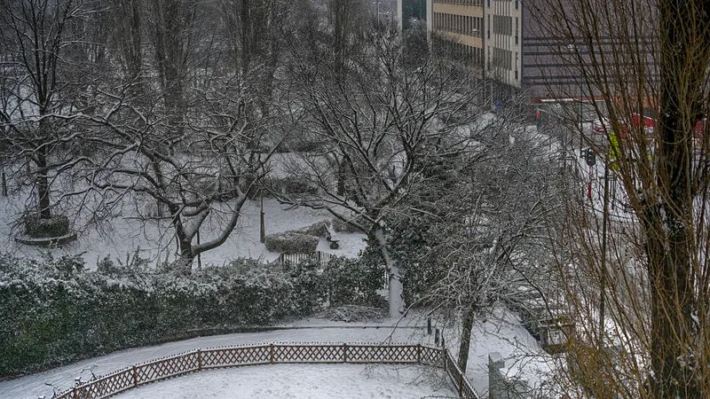 A park under fresh snow, seen from above