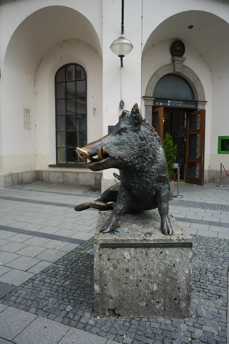A bronze statue of a sitting wild boar in front of the hunting museum in Munich